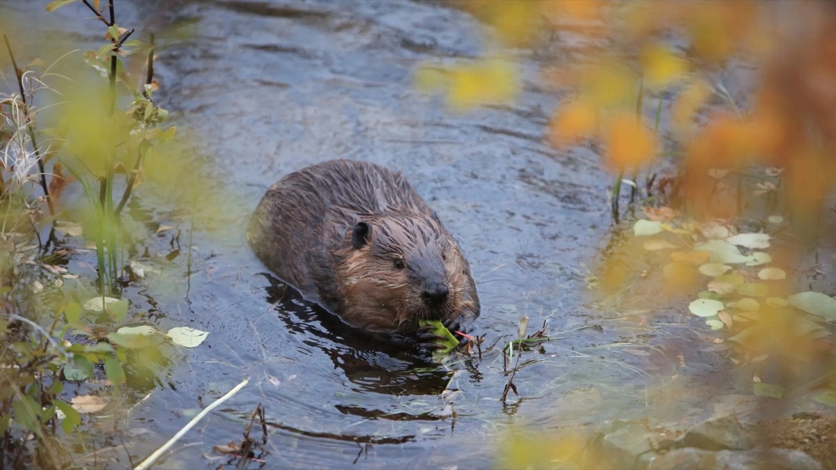 Photo : Shutterstock