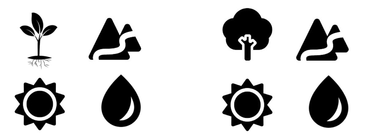 Quel jeu d’icônes vous semble le plus harmonieux ? Remarquez comme la plante, plus délicate, se démarque des trois icônes lourdes et massives. L’icône d’arbre…