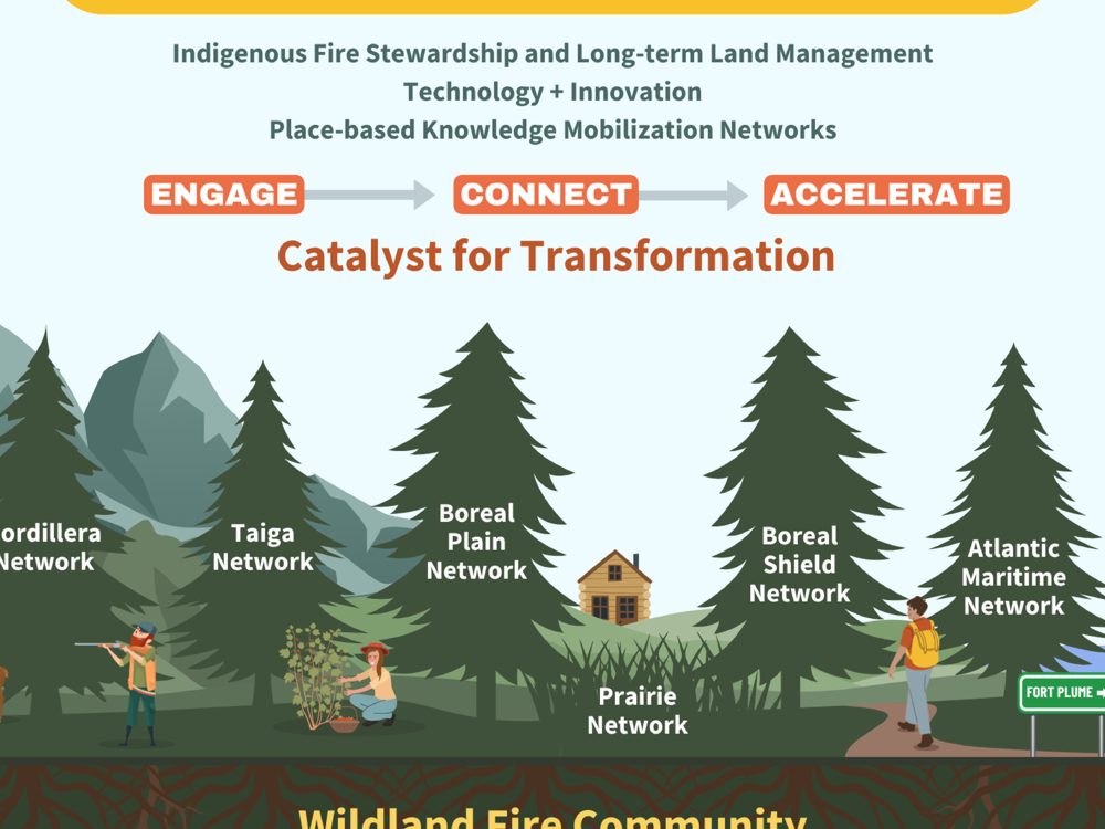 Illustrated structure of a national consortium: engage, connect, accelerate, across five regional networks