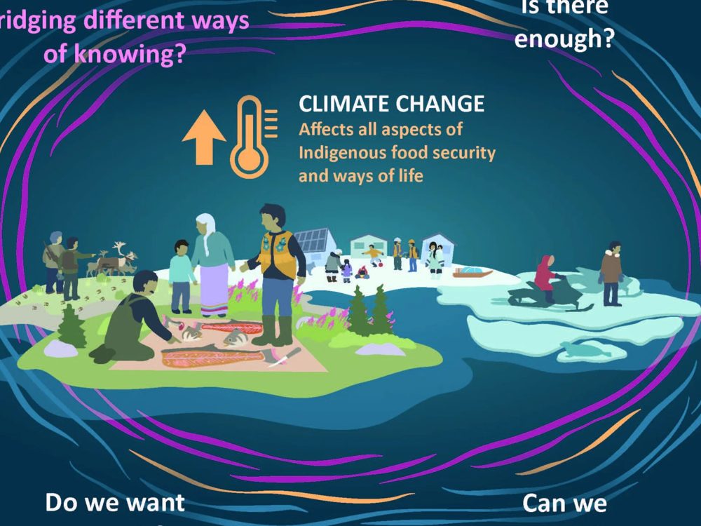 Infographic on climate change and Indigenous food security: how do we adapt by bridging different ways of knowing?
