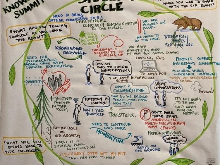 Hand-drawn graphic recording of a knowledge summit's closing sharing circle