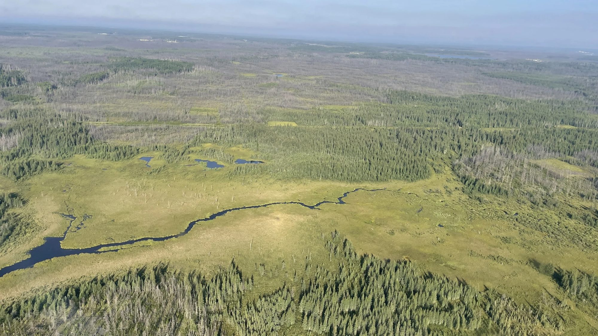 Aerial view of boreal forest and a winding river in Alberta