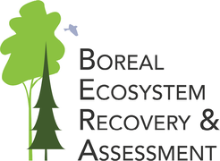 Boreal Ecosystem Recovery and Assessment