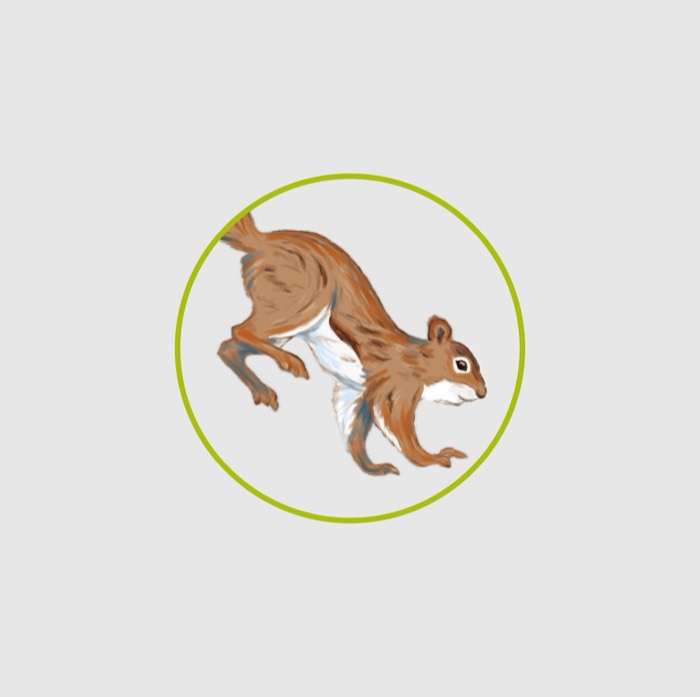Un écureuil illustré dans un cercle vert