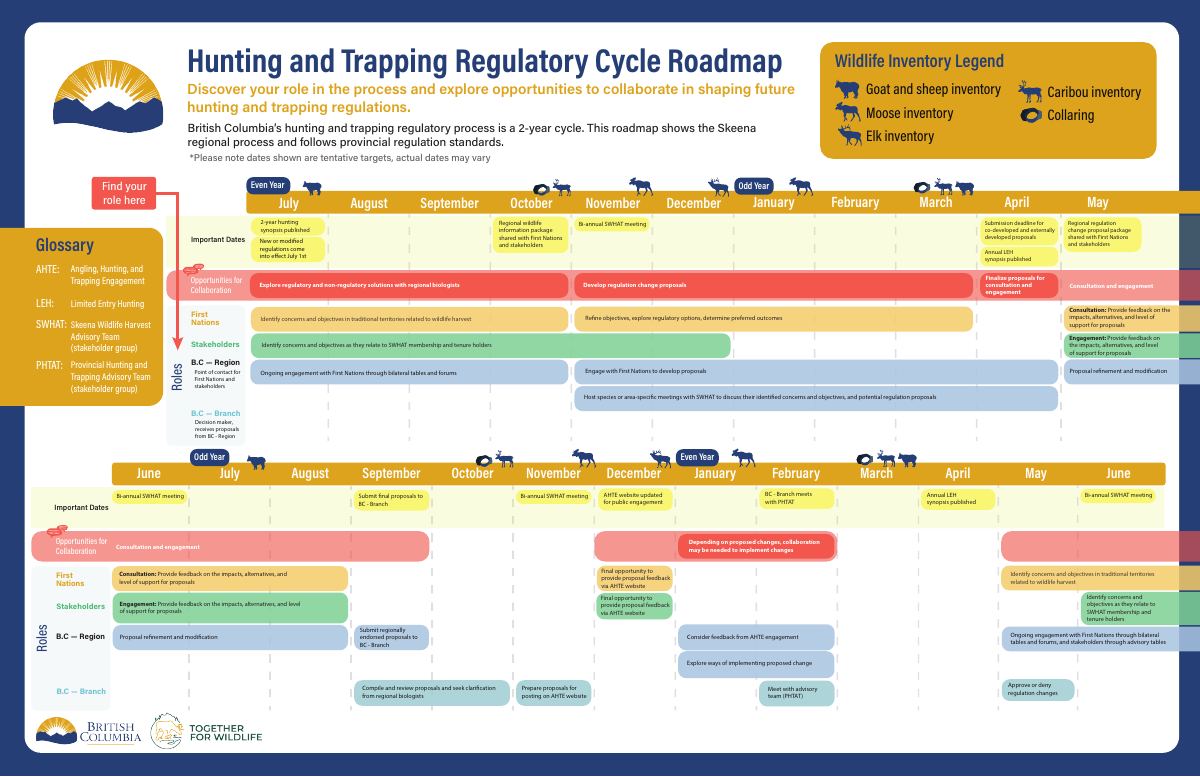 Colour-coded timeline of a hunting and trapping regulatory cycle