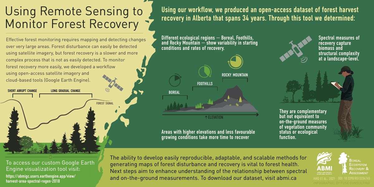 Infographic on using remote sensing to monitor forest recovery