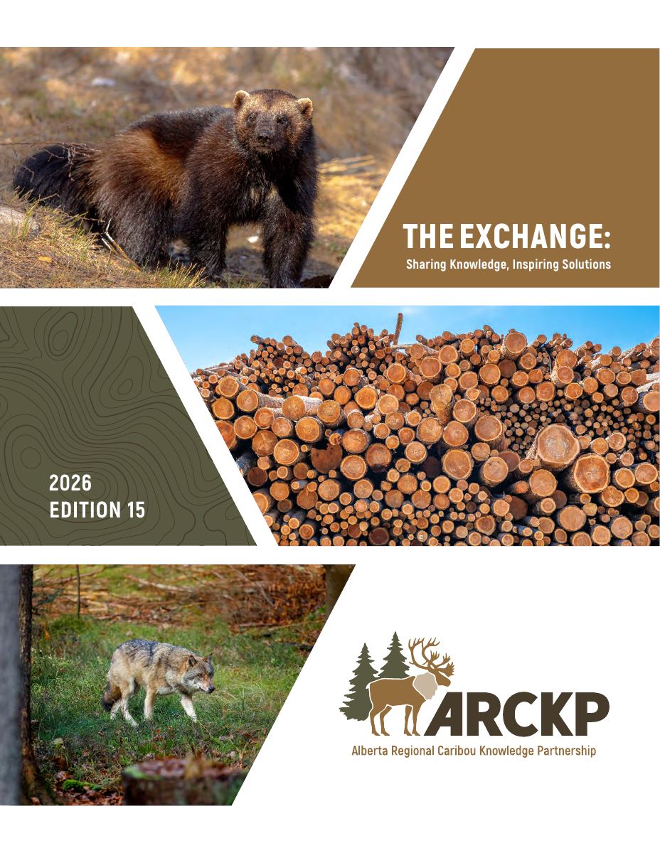 Cover of "The Exchange" newsletter, edition 15