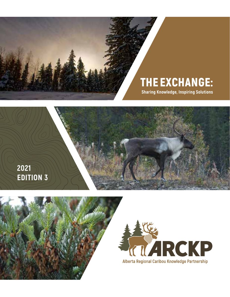 Cover of "The Exchange" newsletter, edition 3